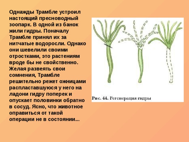 Зайти на кракен рабочее зеркало